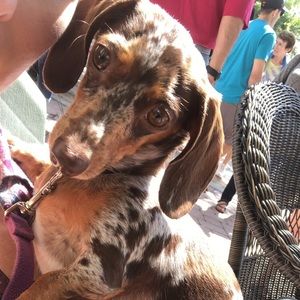 Meet your Posher, Arika